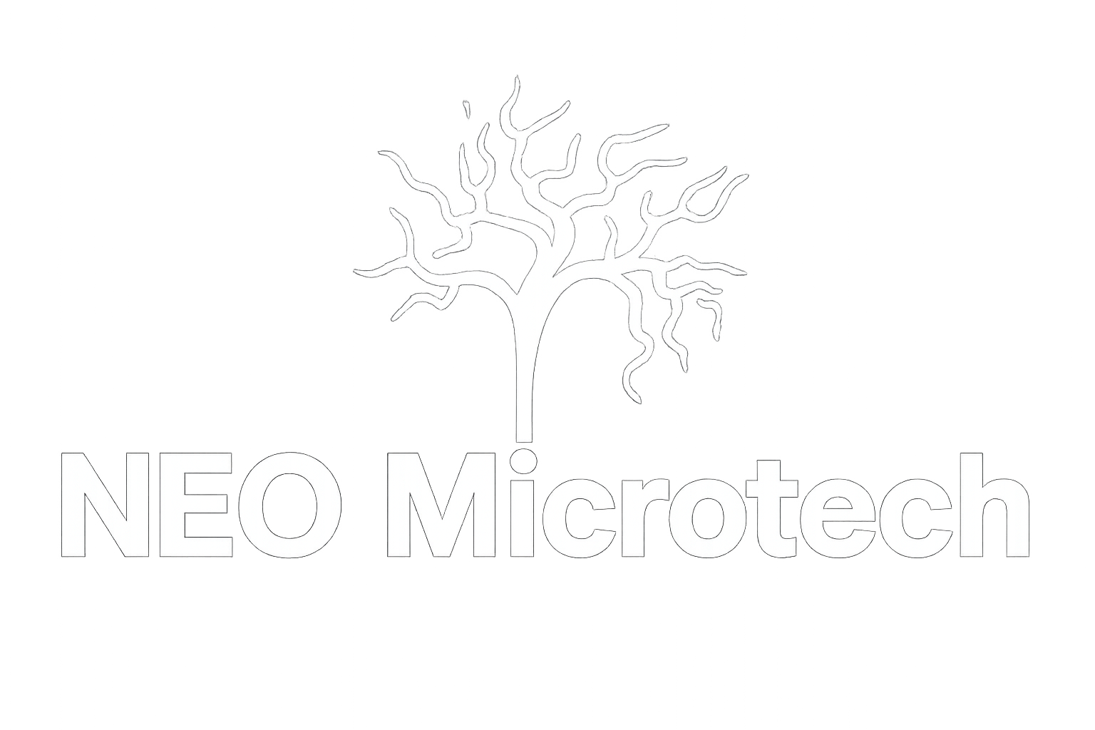 neomicrotech.com